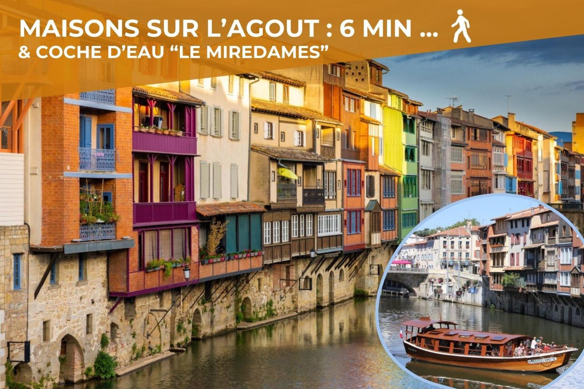 L'Eveche - T3 Spacieux & Traversant En Hypercentre Castres (Tarn) Exterior foto